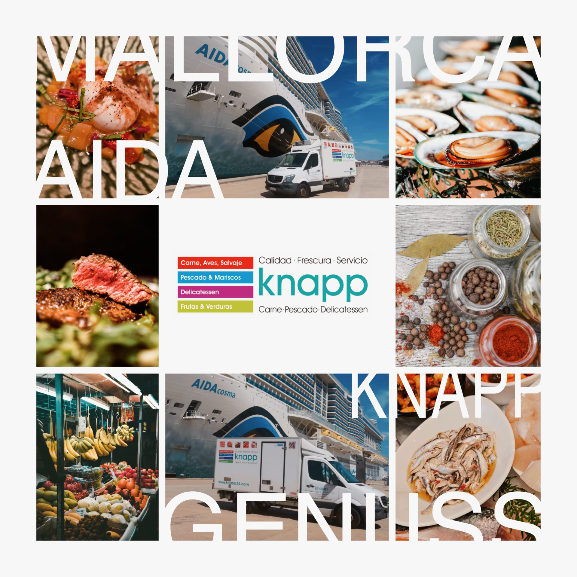 Collage von 8 Bildern: Schiff Aida mit Knapp Lieferwagen, Knapp Logo, Food Impressionen